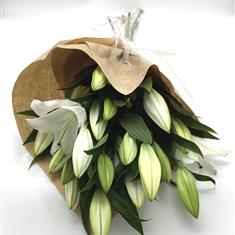 Everyday Lilies
