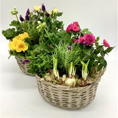 Fleur Coutures Planted Basket 